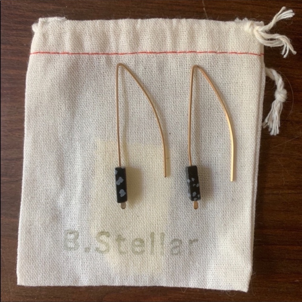 B Stellar Jasper v style earring